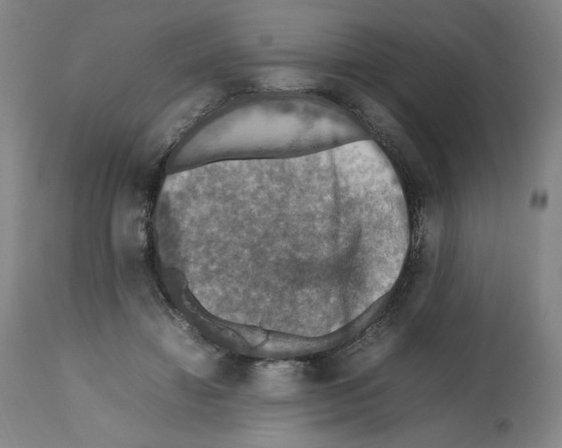 X0000112470452200909281050