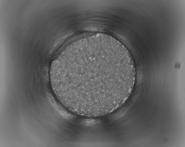 X0000112470453200909281050