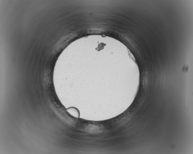 X0000112470455200909281050