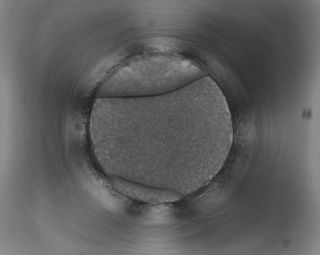X0000112470456200909281050