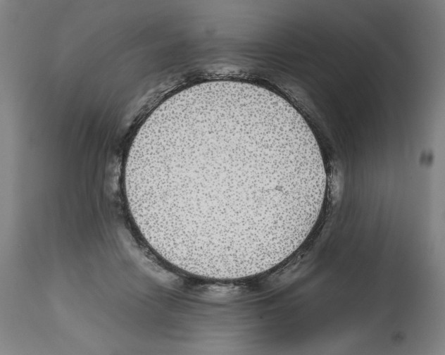 X0000112470458200909281050