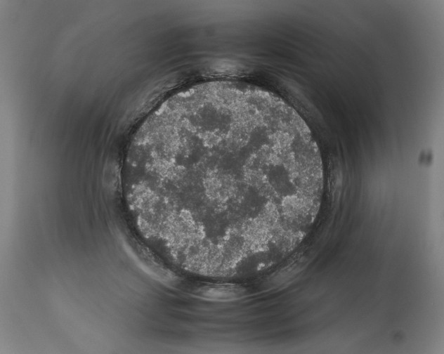 X0000112470459200909281050