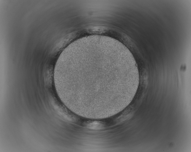 X0000112470460200909281050