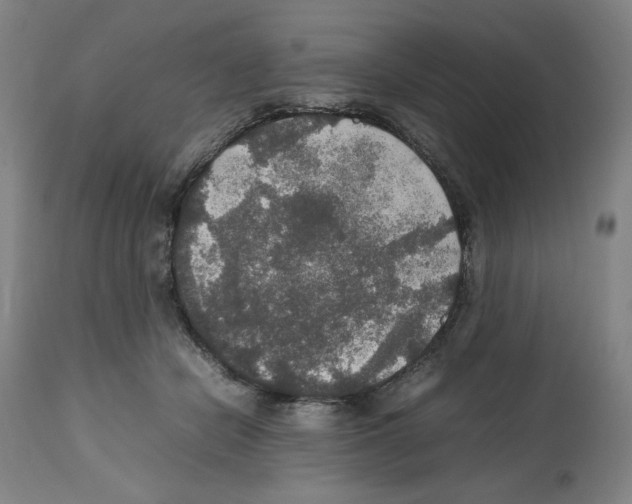 X0000112470462200909281050