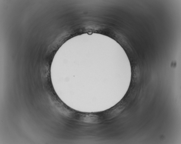 X0000112470463200909281050