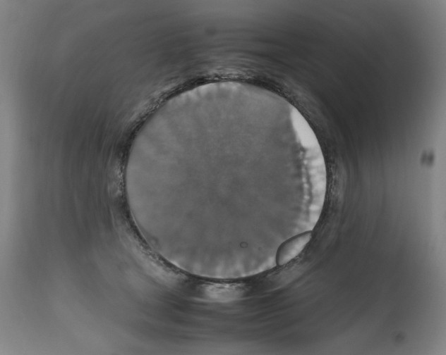 X0000112470465200909281050