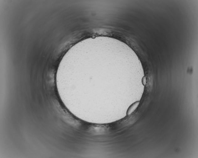 X0000112470466200909281050