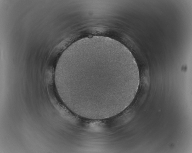 X0000112470468200909281050