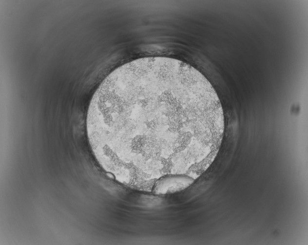 X0000112470469200909281050