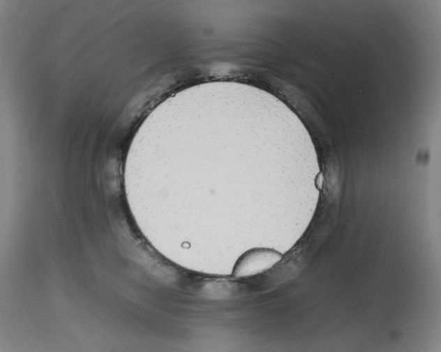 X0000112470470200909281050
