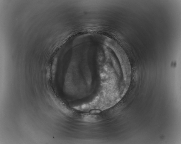 X0000112470471200909281050