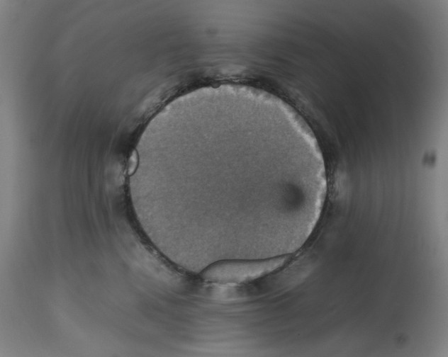 X0000112470472200909281050