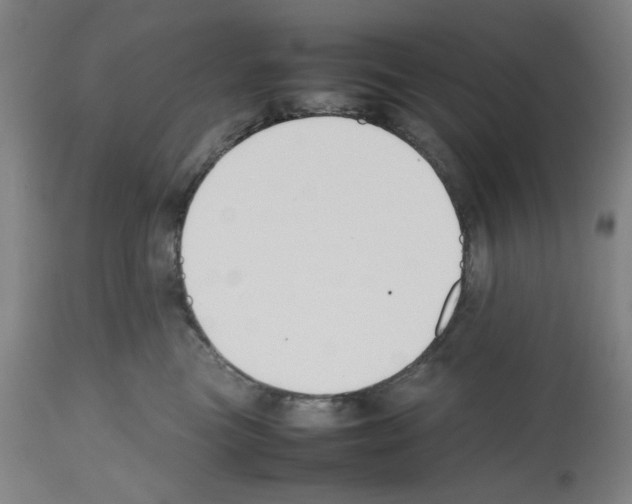 X0000112470473200909281050