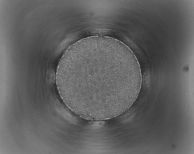 X0000112470474200909281050