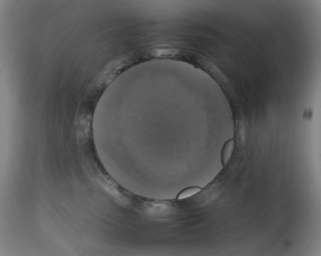 X0000112470475200909281050