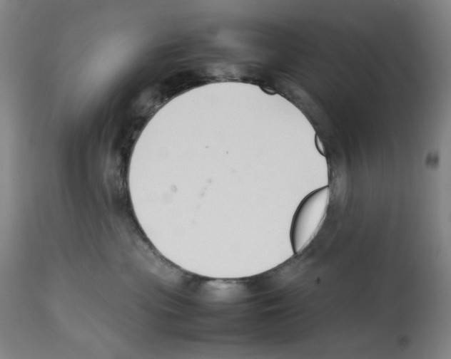 X0000112470477200909281050