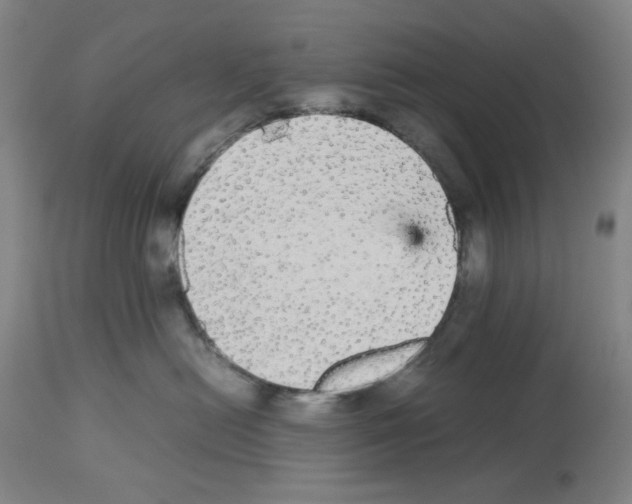 X0000112470478200909281050