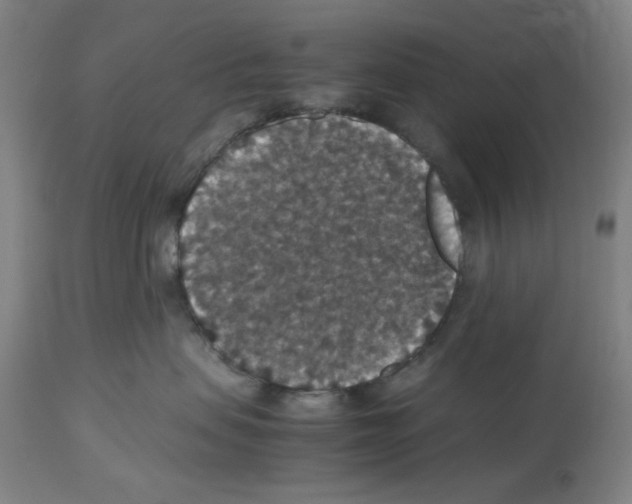 X0000112470479200909281050