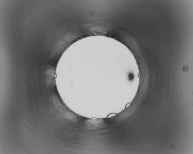 X0000112470480200909281050