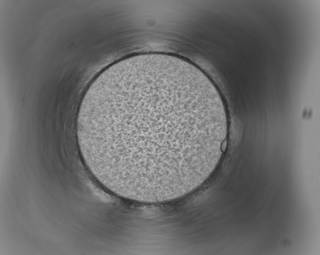 X0000112470481200909281049