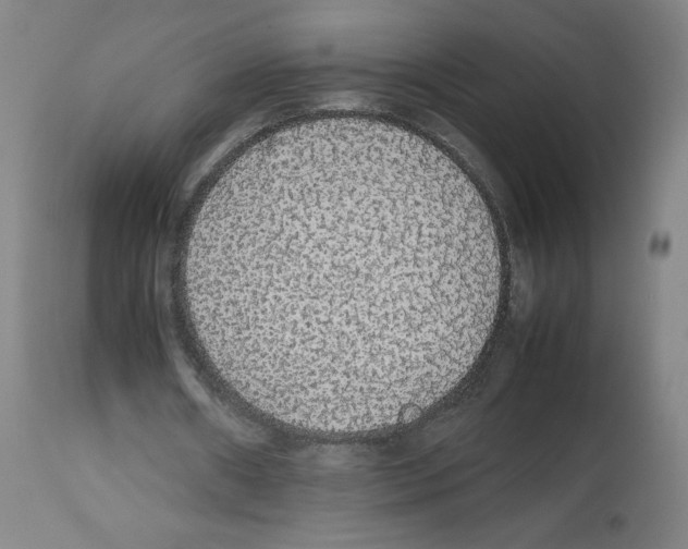 X0000112470482200909281049