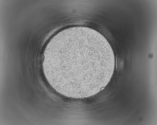 X0000112470483200909281049