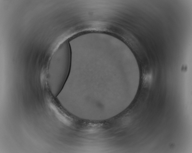X0000112470484200909281049