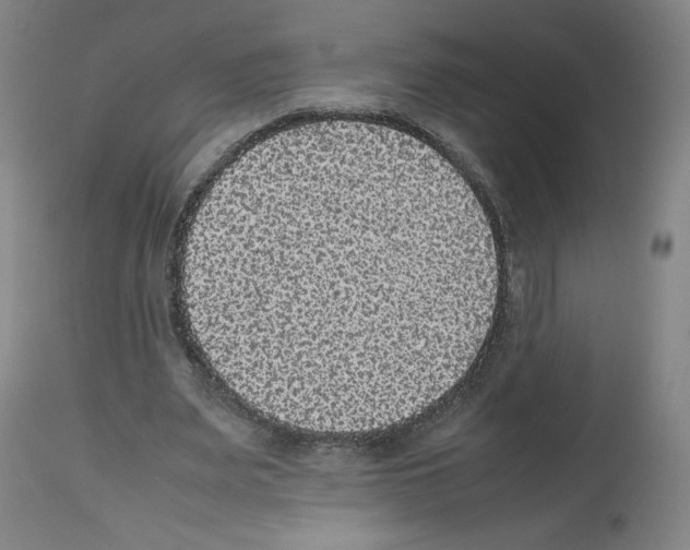 X0000112470487200909281049