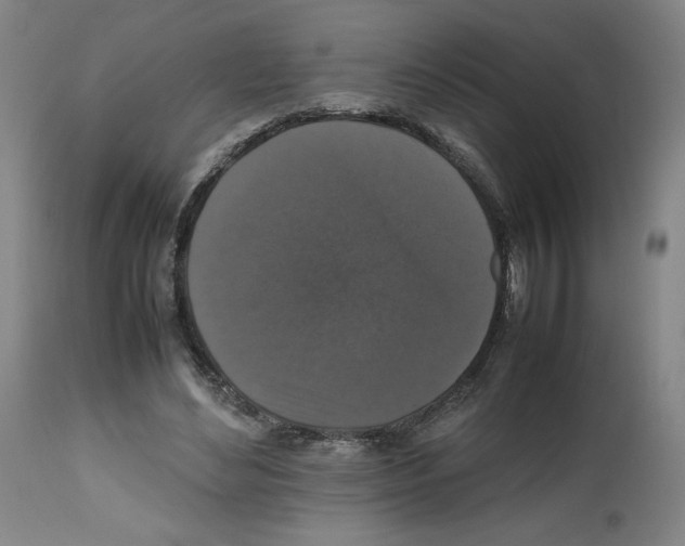 X0000112470492200909281049