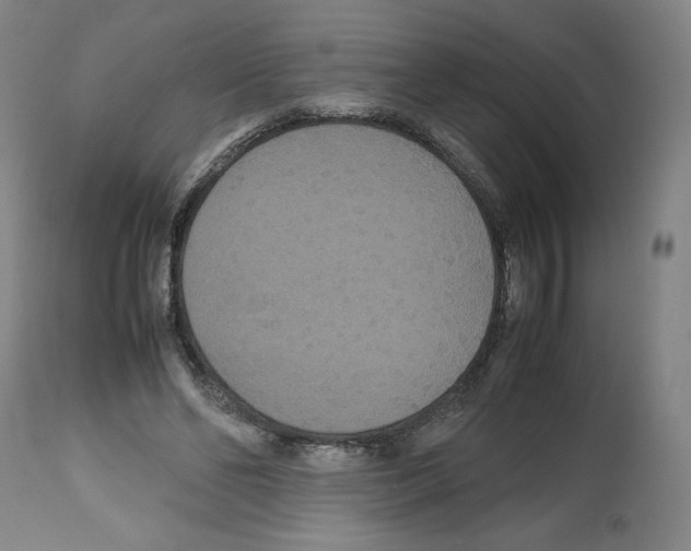 X0000112470494200909281049