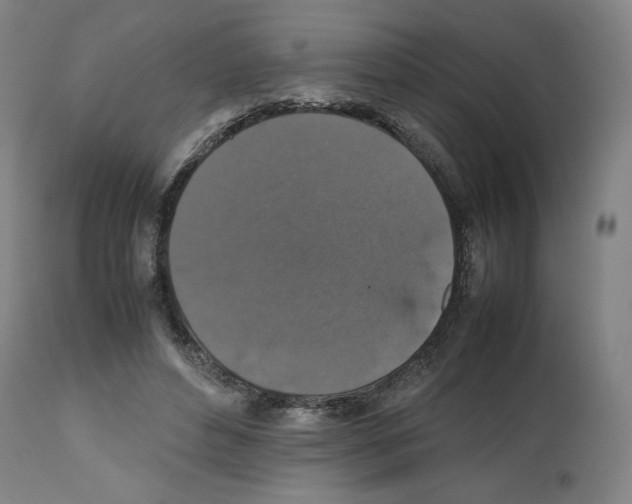 X0000112470496200909281049