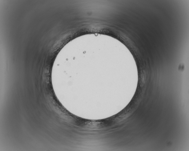 X0000112470497200909281049