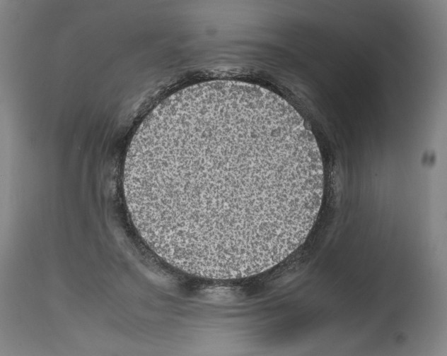 X0000112470499200909281049