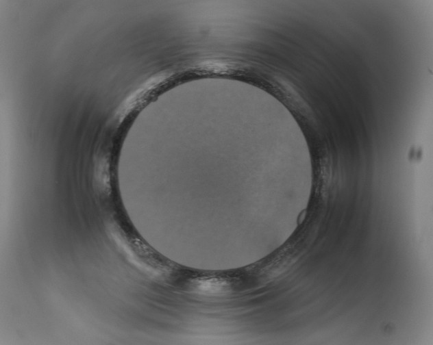 X0000112470500200909281049