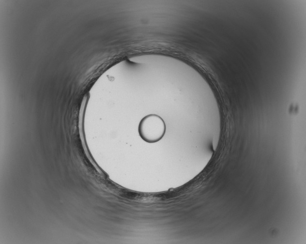 X0000112470501200909281049