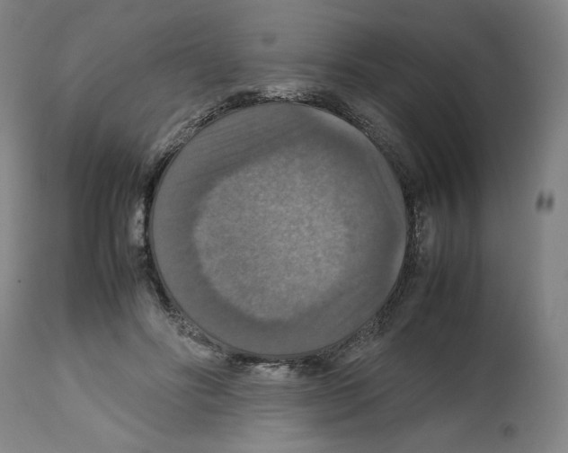 X0000112470502200909281049