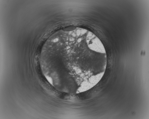 X0000112470503200909281049