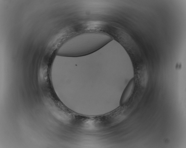 X0000112470504200909281049