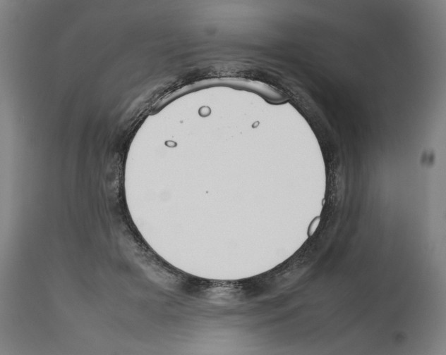 X0000112470505200909281049