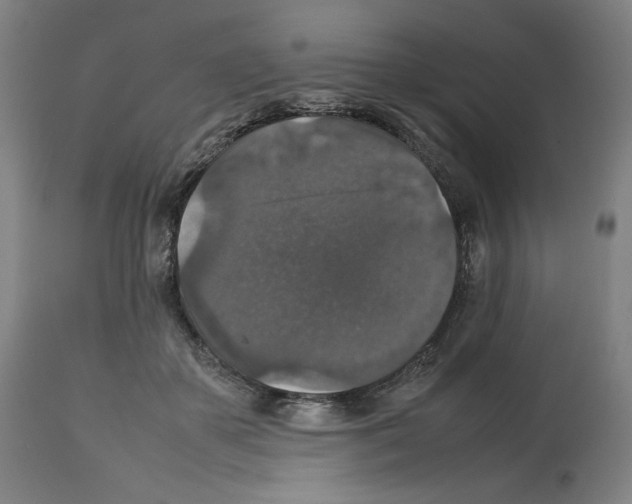 X0000112470507200909281049