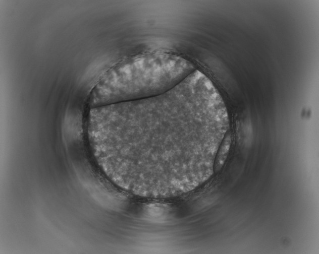 X0000112470508200909281049