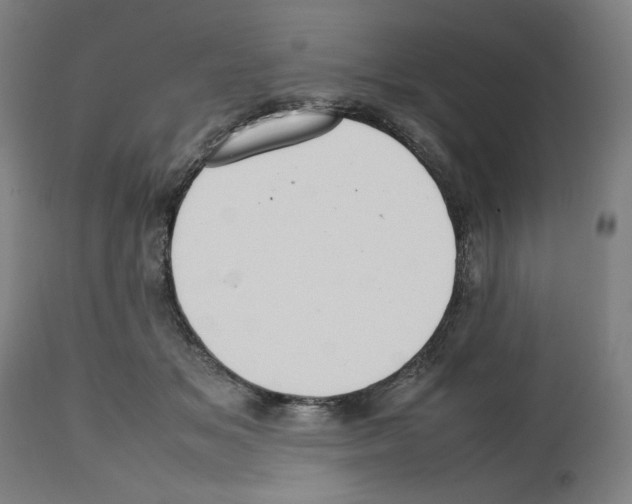 X0000112470509200909281049