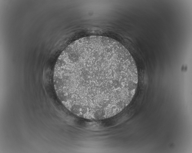 X0000112470511200909281049