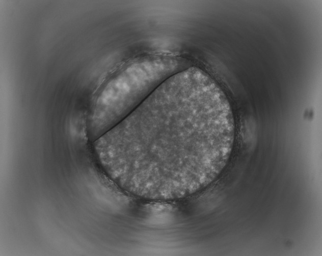 X0000112470512200909281049