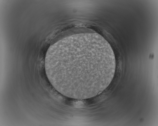 X0000112470513200909281049
