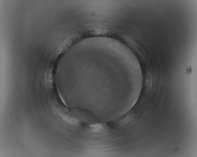 X0000112470516200909281049