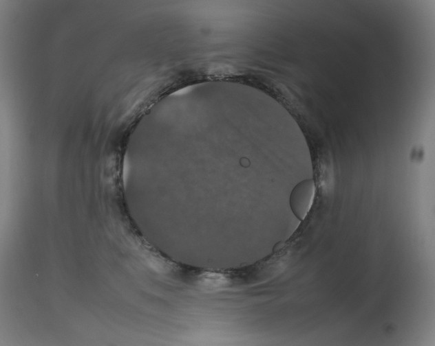 X0000112470519200909281049