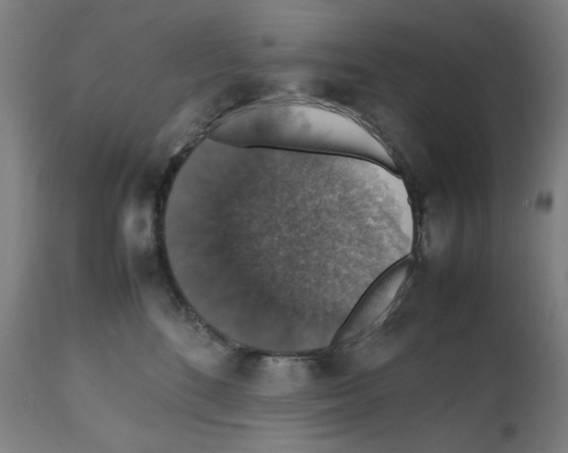 X0000112470520200909281049