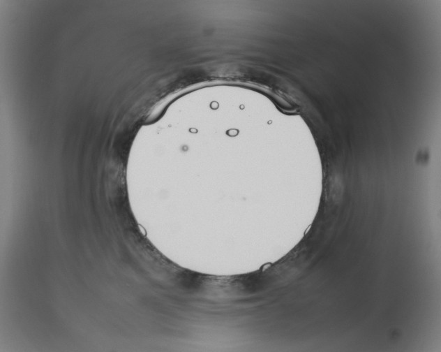 X0000112470521200909281049