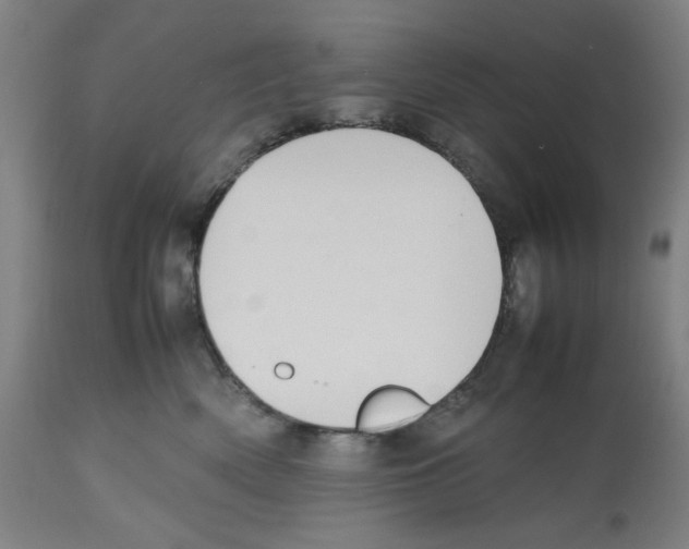 X0000112470522200909281049